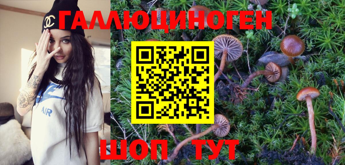Псилоцибиновые грибы Magic Shrooms Ярославль