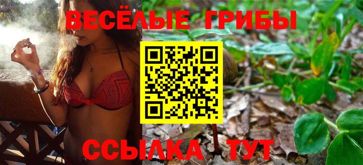 Псилоцибиновые грибы прущие грибы  Вход с VPN  Ярославль 